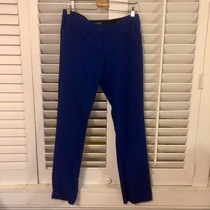 Bold Blue Dress Pants